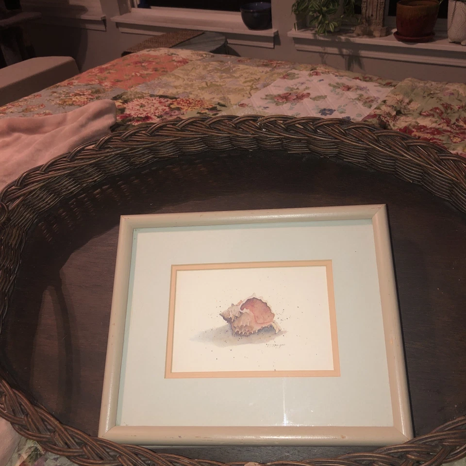 D Morgan Light Wood Framed Conch Seashell Prints (2) Beach Coast Shore Nautical - Image 4 of 4