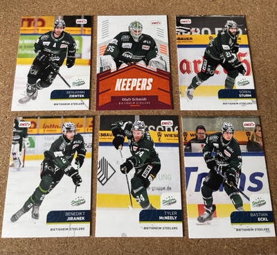 Playercards DEL2 (Teamset) Bietigheim Steelers 2025/26