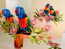 Origami Pop Cards Double Rainbow Lorikeet Parrot Bird Happy Birthday