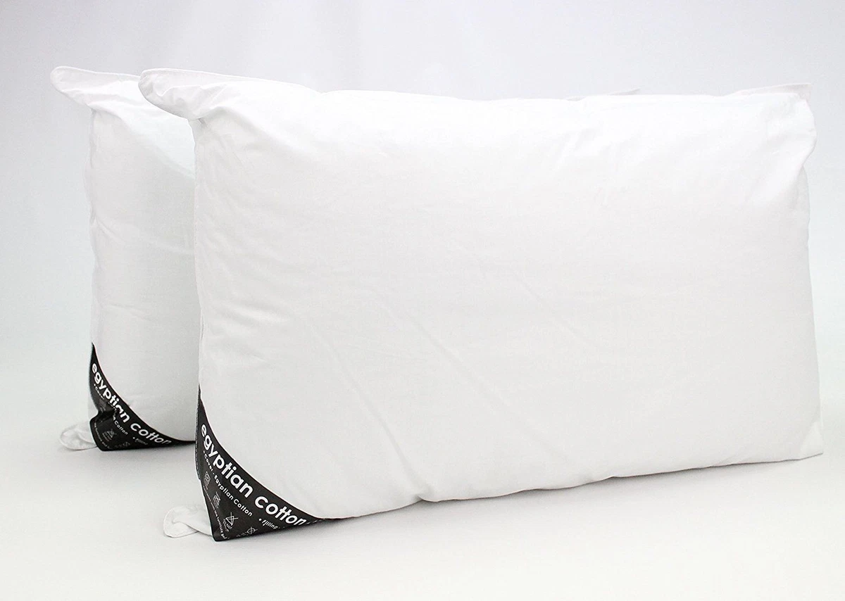 Egyptian top cotton pillow
