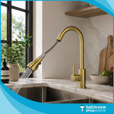 Ellsi Brushed Brass Kitchen Mixer Tap Pull Out Spray Swivel Spout