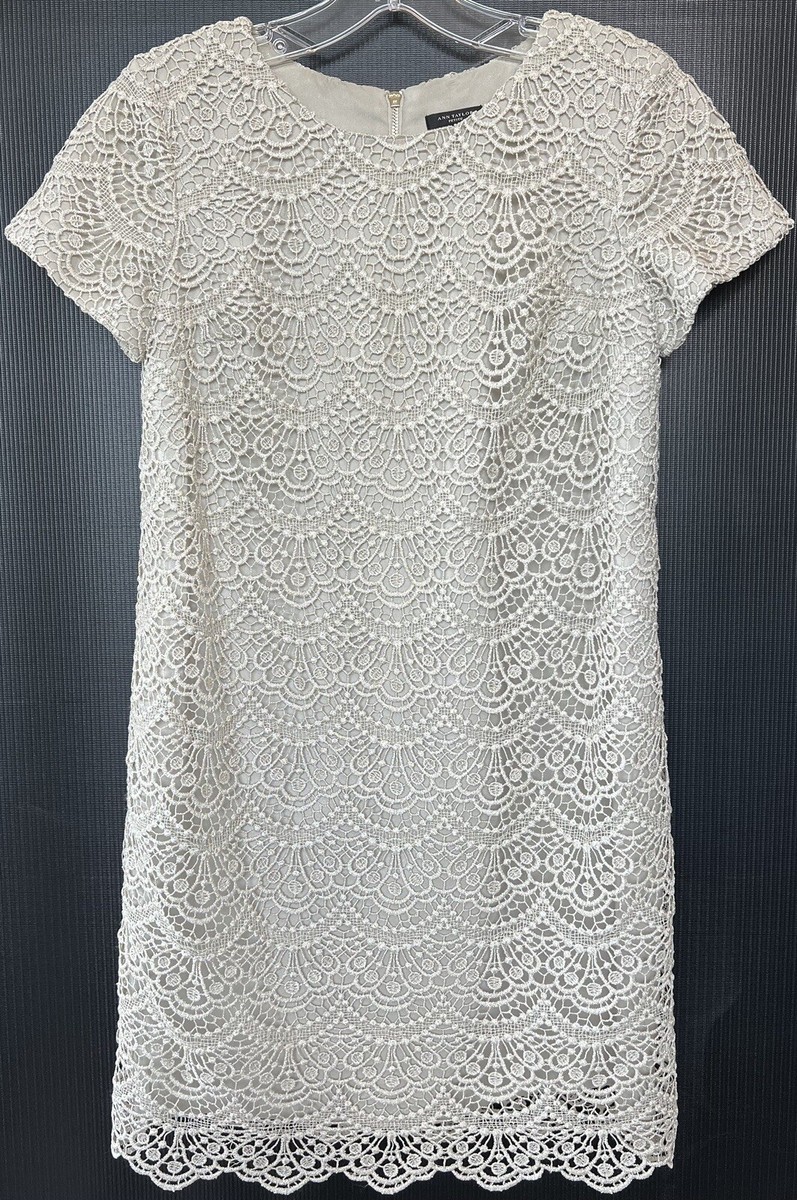 EUC Ann Taylor Lace Overlay Beige Dress 0 Petite | eBay EUC Ann Taylor Lace Overlay Beige Dress 0 Petite | eBay