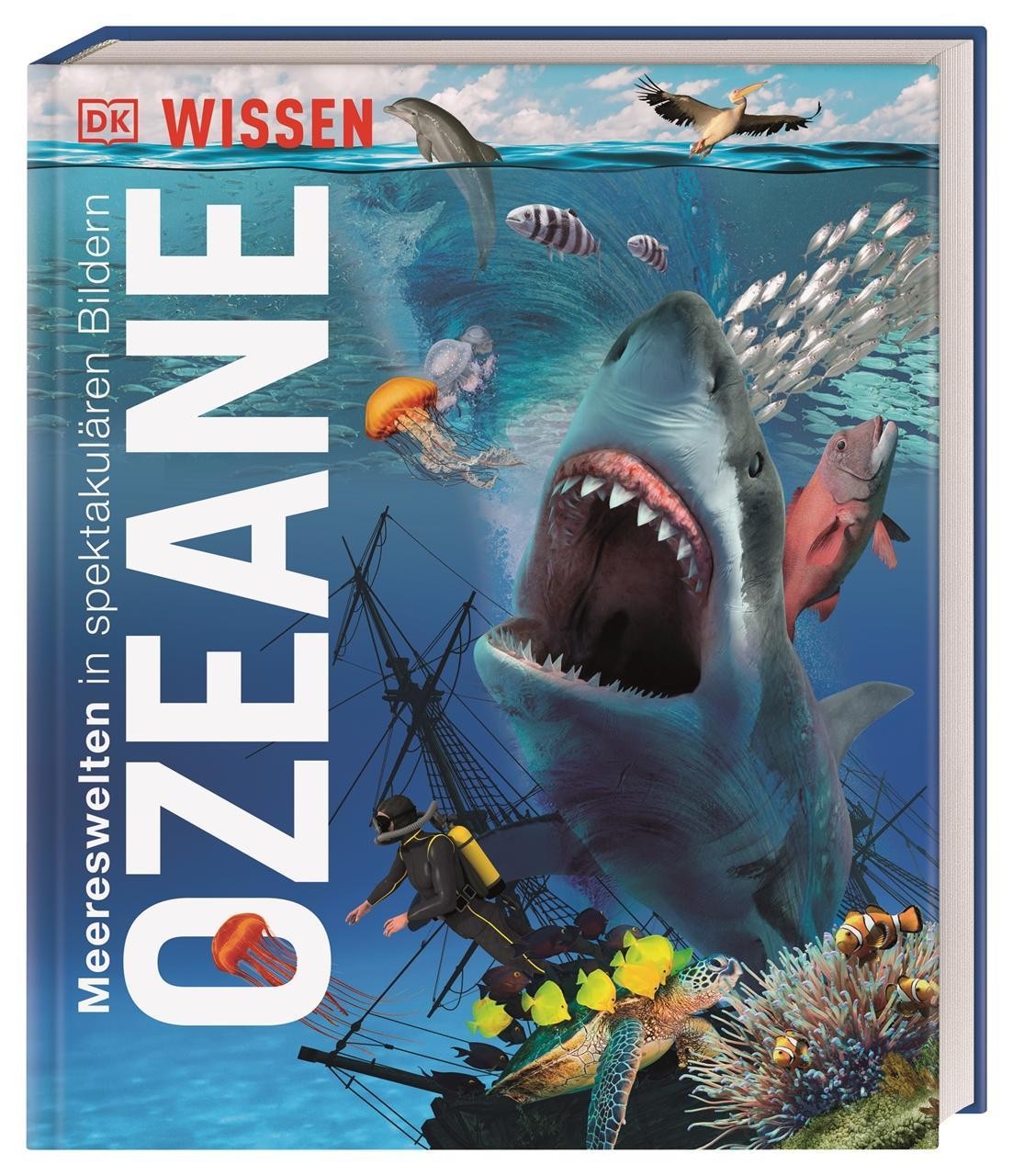 Stephan Matthiesen ~ DK Wissen. Ozeane