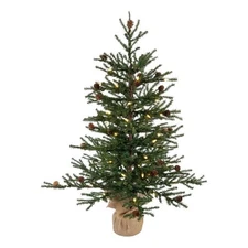 Vickerman 30" Carmel Pine Artificial Christmas Tree with LED Lights in Green