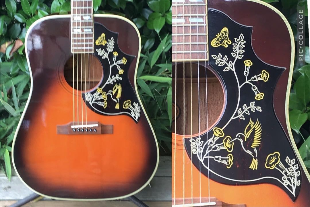 Electric Acoustic Guitar Orville by Gibson HB Hummingbird Model