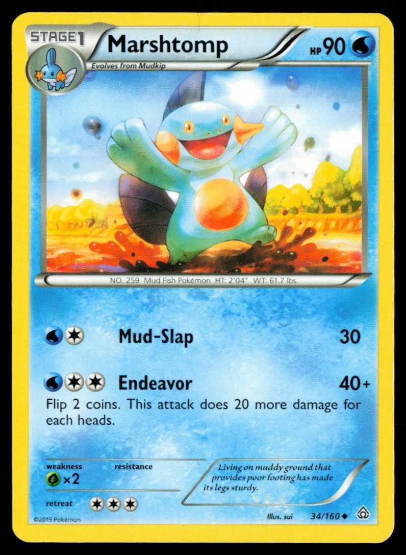 2015 XY - Primal Clash Marshtomp #34 Non Holo Pokemon Card