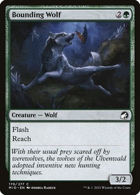 Bounding Wolf (170) Innistrad: Midnight Hunt MID MTG Magic