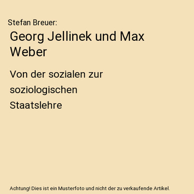 Georg Jellinek und Max Weber: Von der sozialen zur soziologischen Staatslehre: V