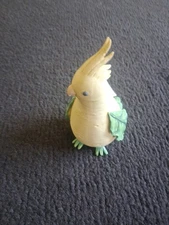 Home Grown White Radish Cockatiel 2011 RARE