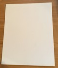 Vintage Original 1998 P-446 WWF Luna Vachon 8x10 Promo Photo Oddities WWE Angel — photo 2