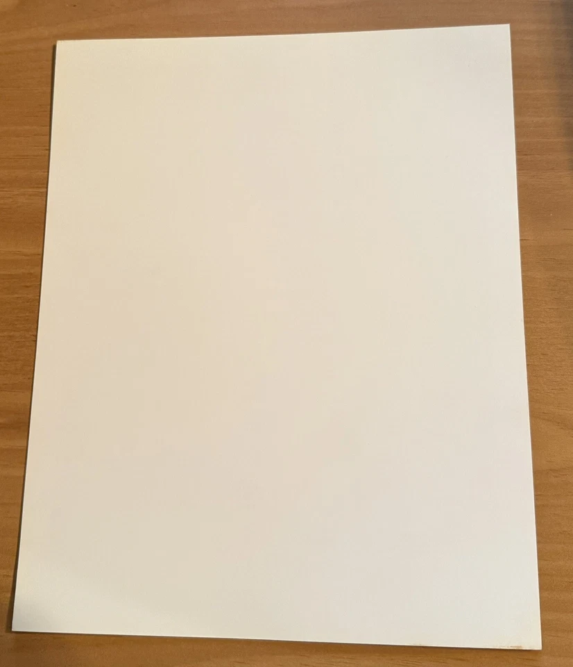 Foto promocional vintage original 1998 P-446 WWF Luna Vachon 8x10 rarezas WWE Angel Foto 2 de 2