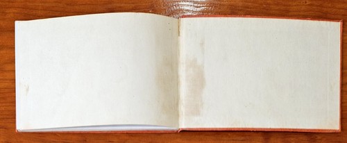 Vintage 1948 Illustrated "Revised Ferns" by Farida A. Wiley Paperback AMNH GUC - Picture 20 of 24