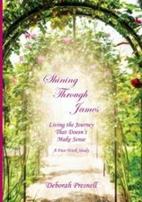 Shining Through James: Living the Journey That Doesn't Make Sense, Like New U...