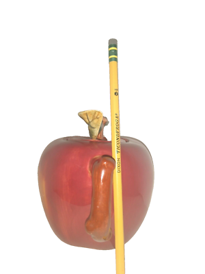 Vintage Sakura Handpainted Porcelain Apple Tree Tea Pot W/Tag Nice