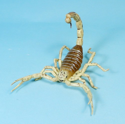 #ad Kaiyodo Capsule Q Museum Venomous animal giant deathstalker Scorpion figure $16.95