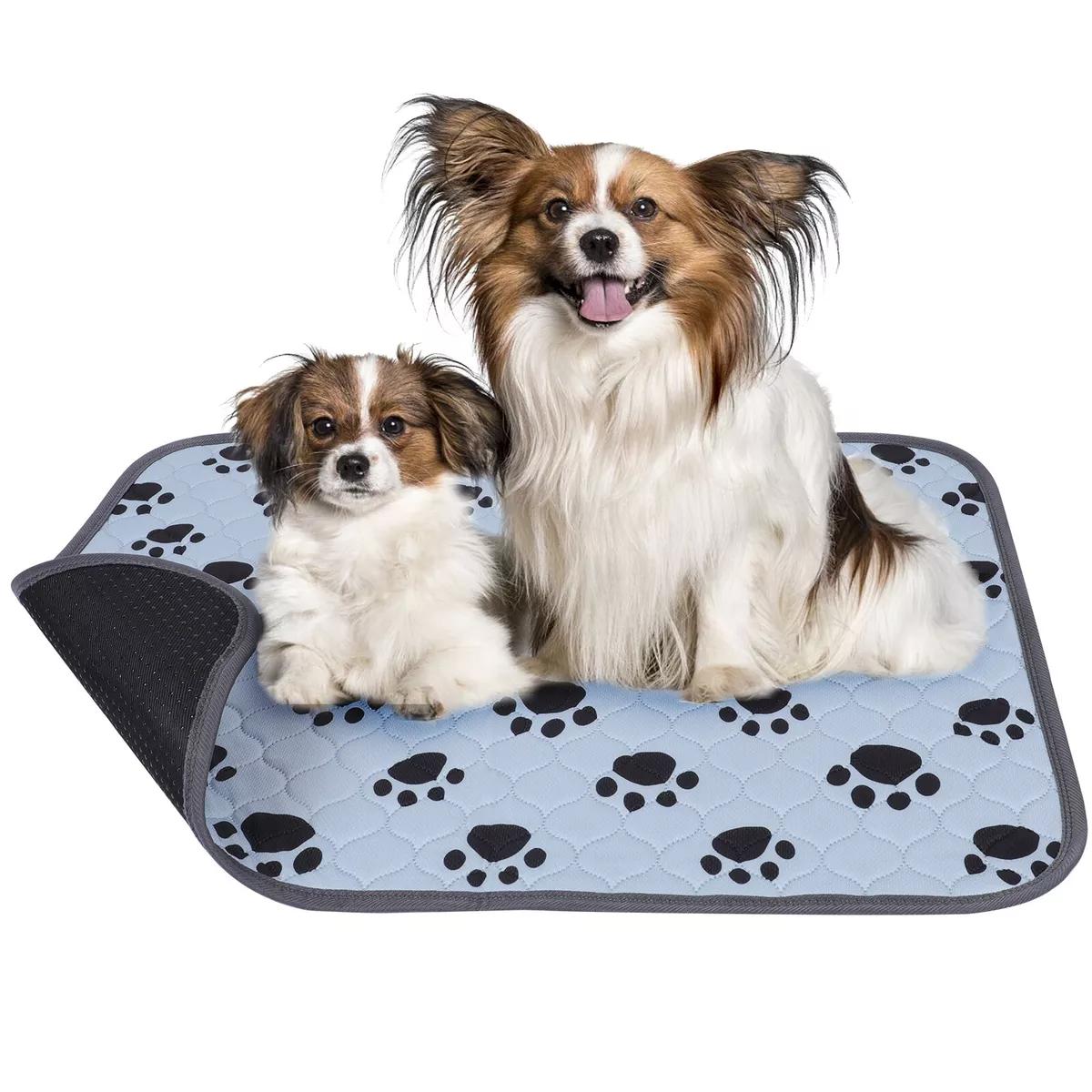 Dog Training Pad Washable Pet Pee Mat Super Absorbent Non-Slip Puppy C