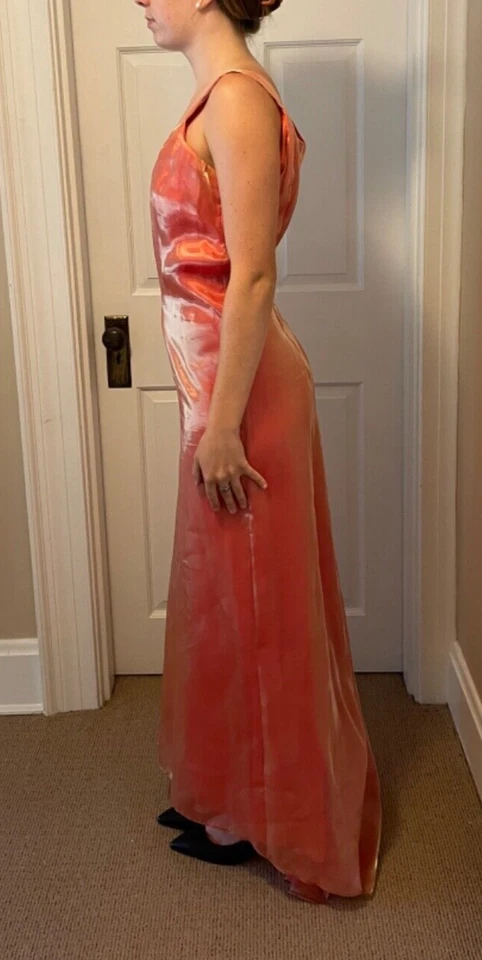 Винтажный коралл и золото переливающийся длинный без рукавов выпускное платье w/легкий поезд XL - Изображение 4 из 4