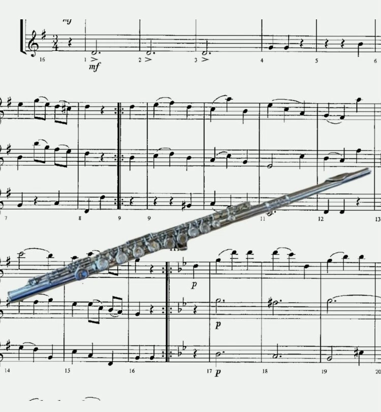 Flauta de concierto de plata intermedia/estudiante banda de marcha profesional - llave de do, caja abierta Foto 4 de 4