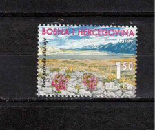 S40563 BOSNIE CROATIQUE ADMIN 1999 MNH** EUROPA CEPT 1v