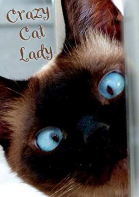 Crazy Cat Lady Notebook by Vivienne Ainslie (Paperback, 2020)