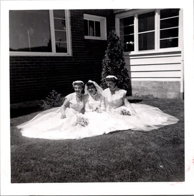 Vintage 1950s Wedding Photo Bride & Bridesmaids on Lawn Black & White Snapshot