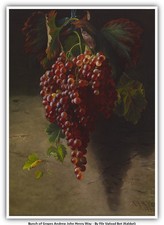Bunch of Grapes Andrew John Henry Way