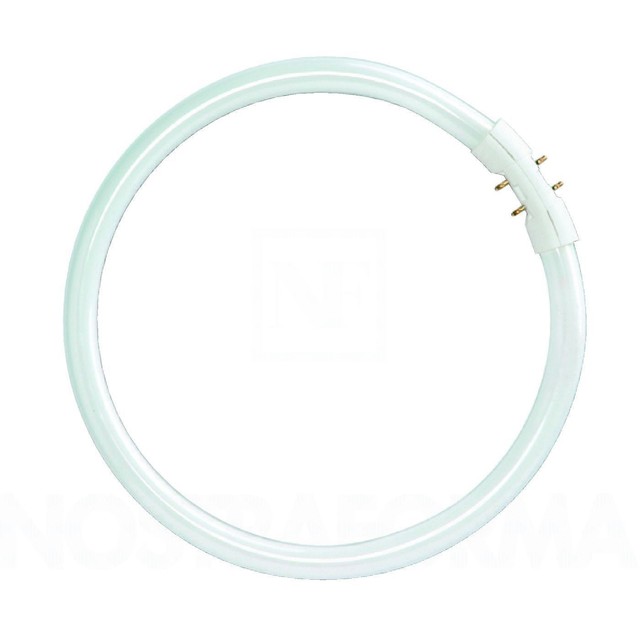 Lampada Fluorescente T5 Tubo Circolare 40W/830 2GX13 Luce Calda - Foto 8