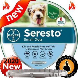 seresto small dog collar ebay