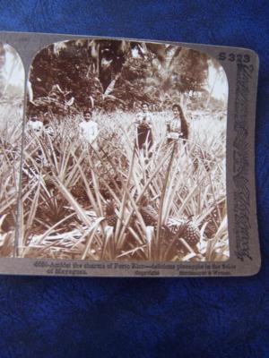 Stereo View Card - Porto Rico