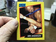 WCW WORLD CHAMPIONSHIP WRESTLING  1991 TRADING CARD #  54 ARN ANDERSON