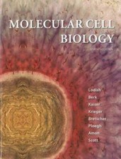 Molecular Cell Biology - Hardcover By Lodish,...