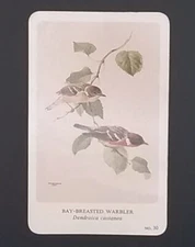 General Cigar Company Trading Card - No. 30 Bay-Breasted Warbler