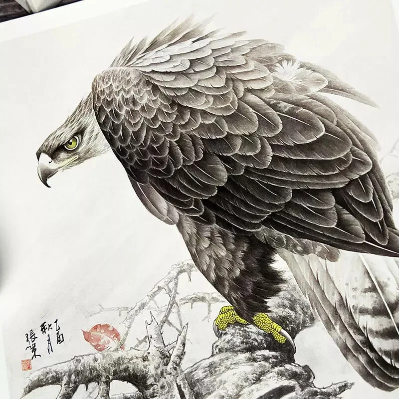 Libro de referencia de tatuaje flash boceto águila halcón pintura caligrafía china Foto 3 de 4