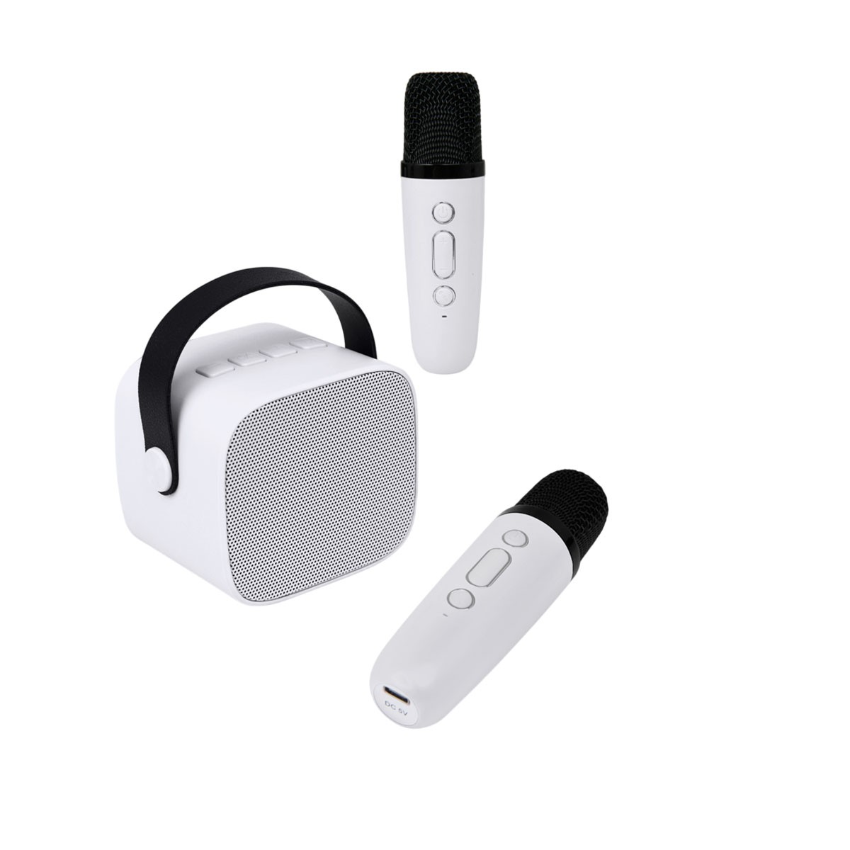 Enceinte Bluetooth 5.1 PARTY 15W et microphones sans fil à réduction de bruit active