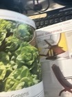 MONTICELLO the MAGAZINE SUMMER 2019 THOMAS JEFFERSON HOME CHARLOTTESVILLE VA. — photo 10