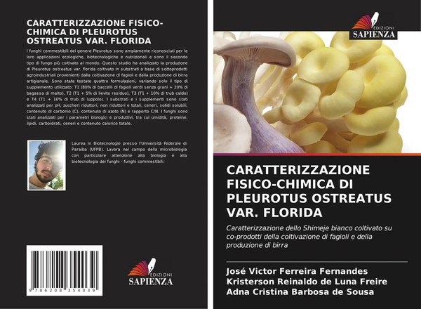 José Victor Ferreira Fernandes (U. A.) | Caratterizzazione FISICO-CHIMICA Di...-image
