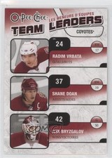 2010 O-Pee-Chee Team Leaders Radim Vrbata Shane Doan Ilya Bryzgalov #TL-23 8tn