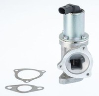 Borgwarner (Wahler) 711031D Agr-Ventil FüR Hyundai Kia