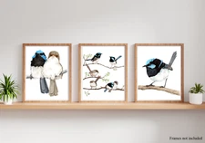 Set of 3 Watercolour Superb Fairy Wren Print Set - Australian bird prints