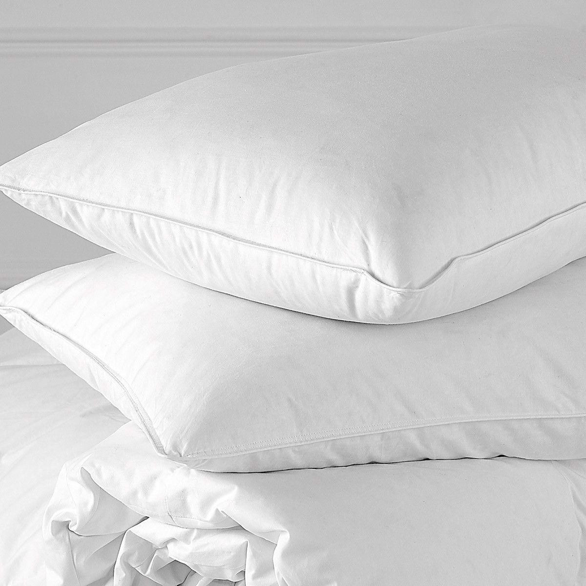Standard / Queen Feather & Goose Down Pillow in Cotton Cover w