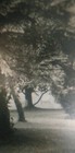 Bild 9 von 11