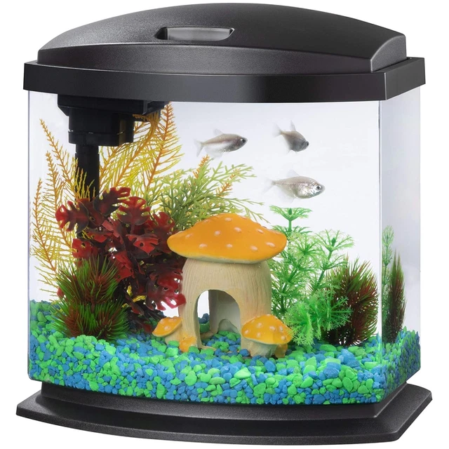 Starter Fish Tank Set with SmartClean Technology