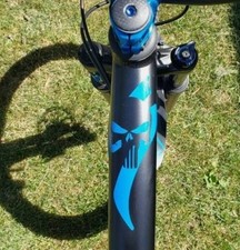 Adesivi logo in vinile tuning telaio bici strada MTB Specialized Punisher Skull