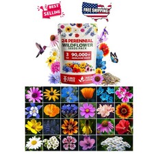 Wildflower Seeds 90000+ Mix 3oz Non-GMO Perennial Easy Grow Pollinator Friendly 230.35 per gallon