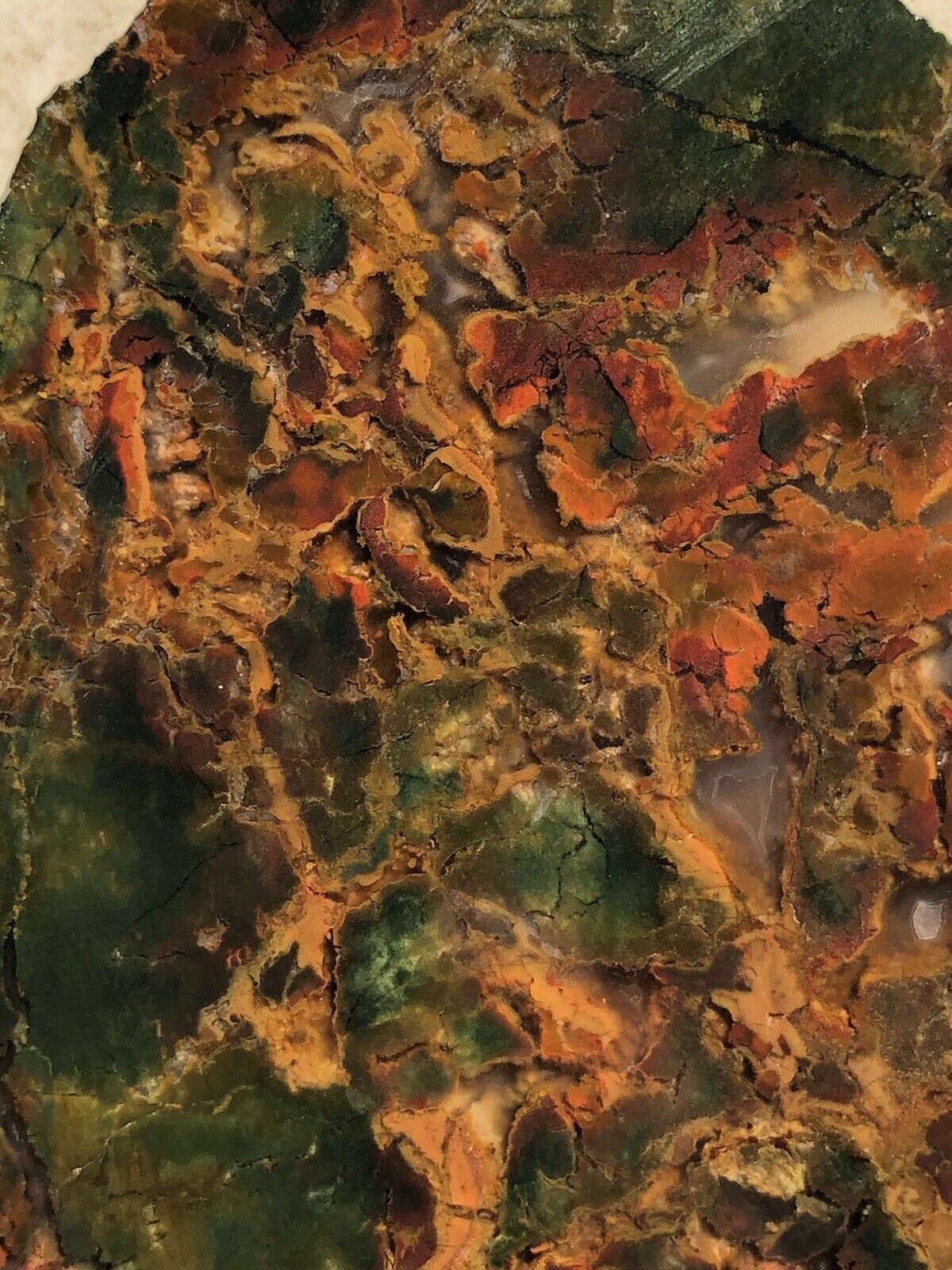 Foto 5 di 14