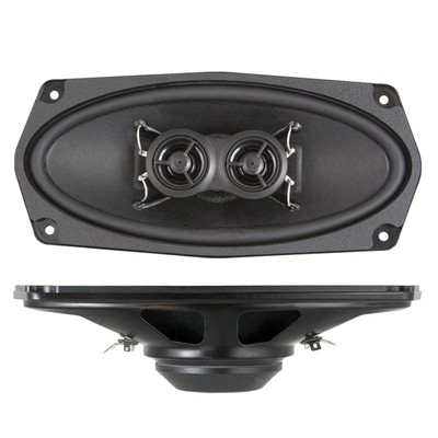 speaker acr 21 inch