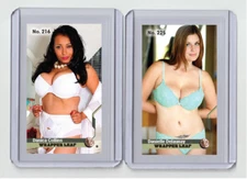 Danica Collins rare MH Wrapper Leaf #'d x/3 Tobacco card no. 216