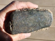 Trozo de hueso de gema de dinosaurio. Azules y verdes. Ideal como muestra o para cortar en cabinas