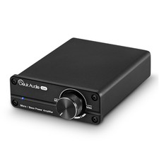 HiFi Subwoofer/ Full-Frequency Amplifier Mini Mono Bass Power Amp Desktop 100W