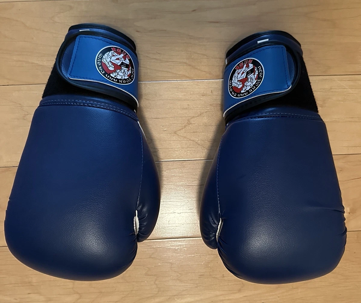 Winning Blue 16 oz. Weight Boxing Gloves | eBay